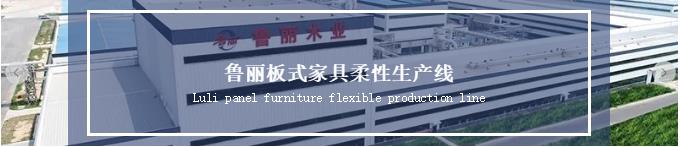 項目巡禮 | 魯麗板式家具柔性生產(chǎn)線