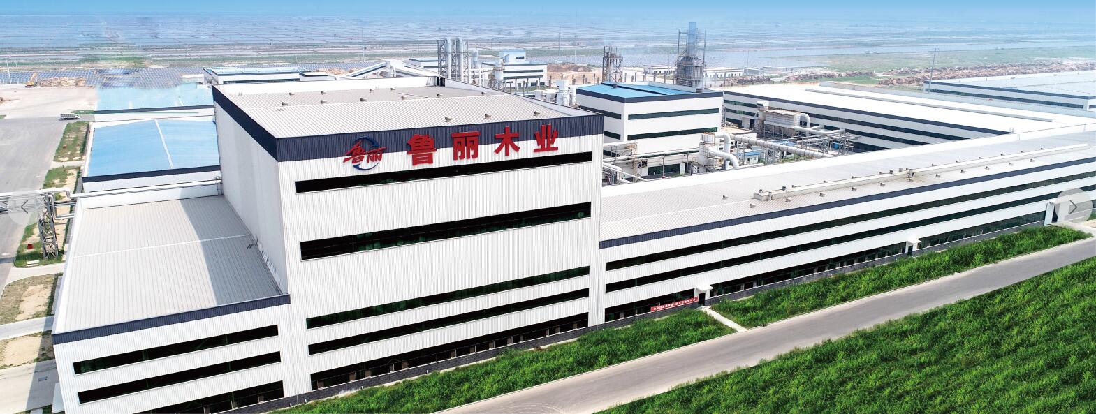 魯麗集團(tuán)（木業(yè)板塊）招聘簡(jiǎn)章